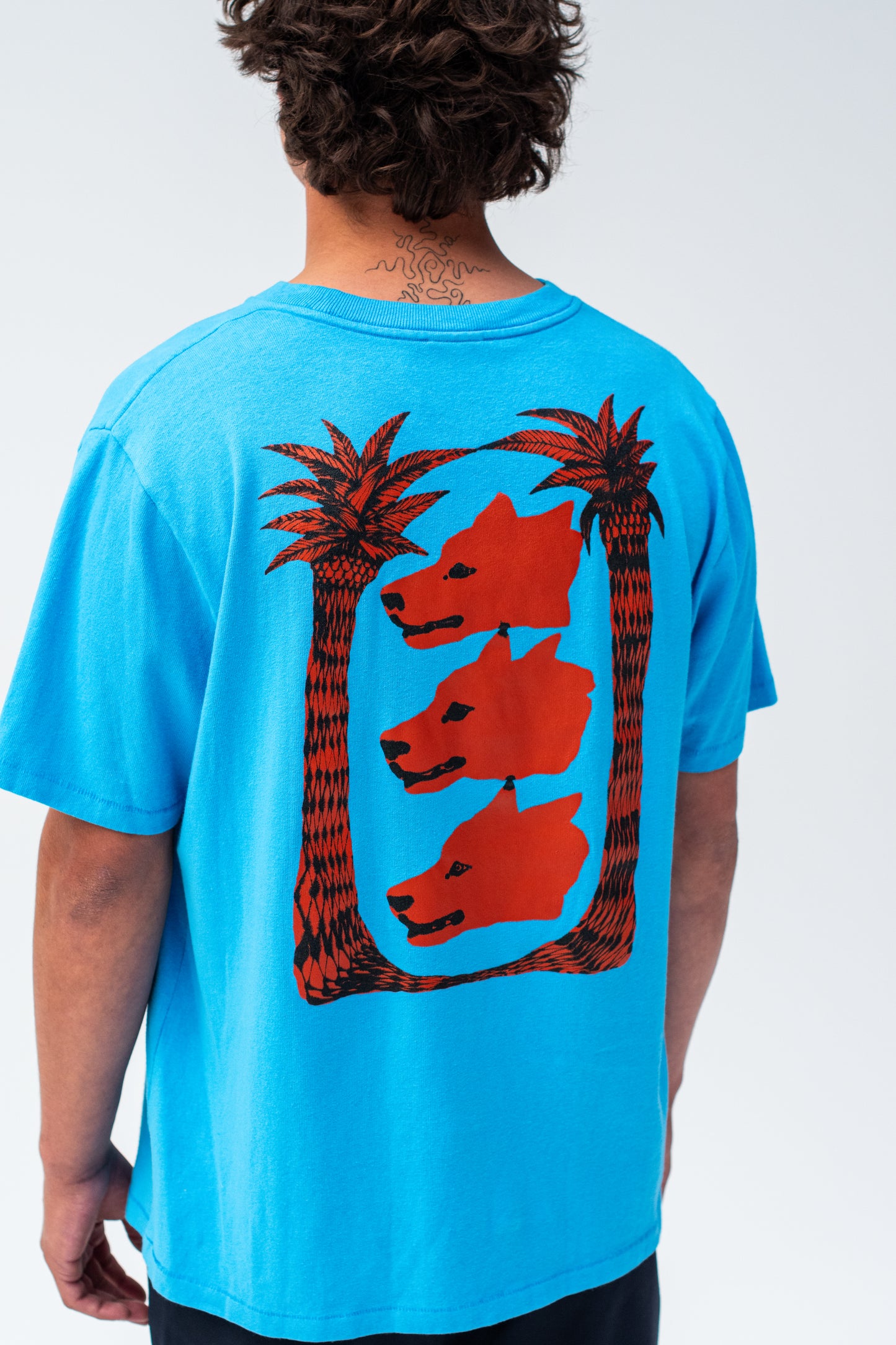 Kwonny Wild dogs Blue